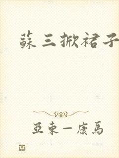 苏三掀裙子封面
