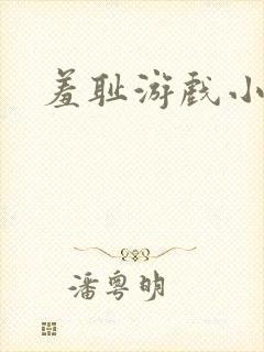 羞耻游戏小说