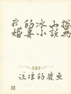 我的冰山总裁未婚妻小说无弹窗