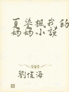 夏鎏枫我的校长妈妈小说封面