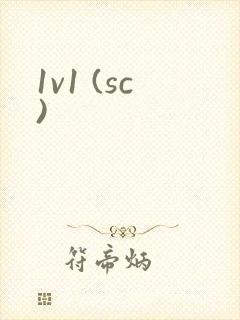 1v1 (sc)