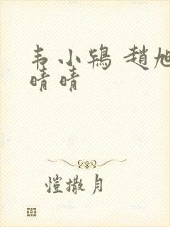 韦小鸨 赵旭李晴晴