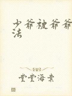 少爷被爷爷打家法
