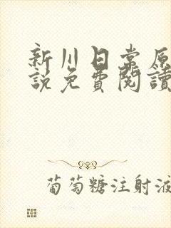 新川日常原著小说免费阅读