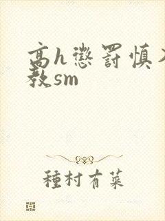 高h惩罚慎入调教sm封面