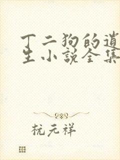丁二狗的逍遥人生小说全集txt封面