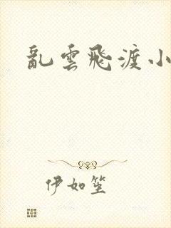 乱云飞渡小说