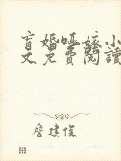 盲婚哑嫁小说全文免费阅读