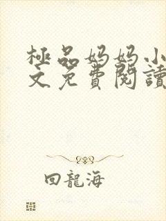 极品妈妈小说全文免费阅读封面