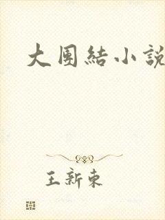 大团结小说阅读