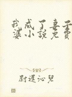 我成了妻子的老婆小说免费阅读全文