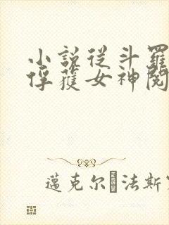小说从斗罗开始俘获女神阅读
