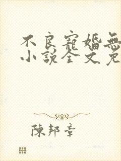 不良宠婚无删减小说全文免费阅读