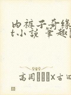 内裤子奇缘txt小说 笔趣阁