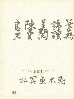 良陈美锦笔趣阁免费阅读无弹窗