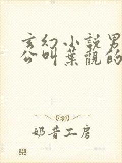 玄幻小说男主人公叫叶观的小说