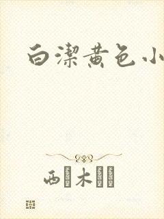 白洁黄色小说