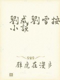 刘成刘雪按摩师小说