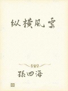 纵横风云