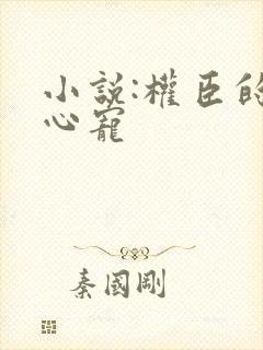 小说:权臣的掌心宠