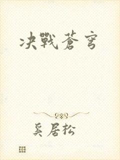 决战苍穹封面