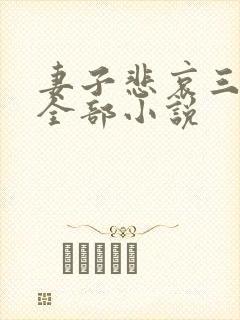 妻子悲哀三部曲全部小说