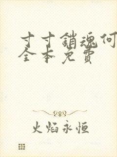 寸寸销魂何生祥全本免费