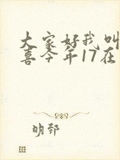 大家好我叫林小喜今年17在线阅读封面