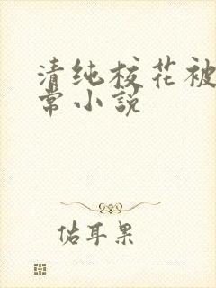 清纯校花被艹日常小说