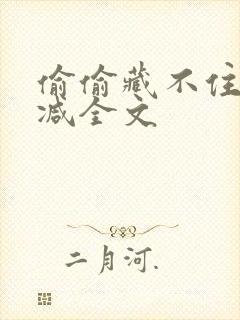 偷偷藏不住无删减全文