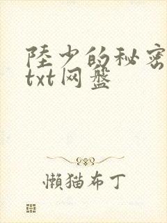 陆少的秘密恋人txt网盘