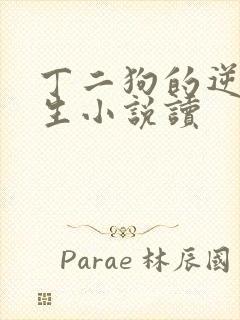 丁二狗的逆袭人生小说读