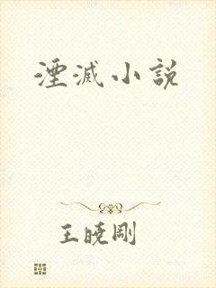 湮灭小说