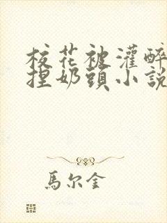 校花被灌醉扒衣捏奶头小说封面