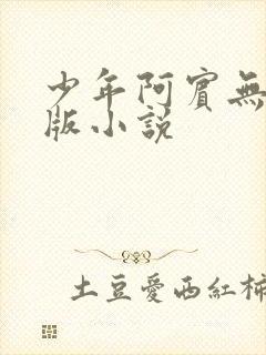 少年阿宾无删减版小说