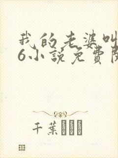 我的老婆叫武艳6小说免费阅读