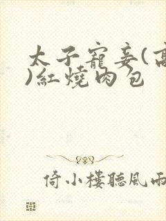 太子宠妾(高肉)红烧肉包