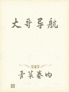 大哥导航