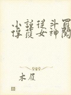 小说从斗罗开始俘获女神阅读封面