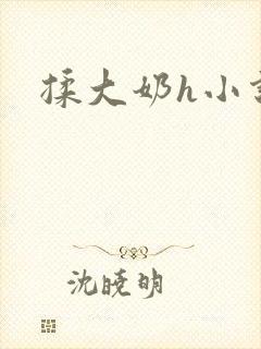 揉大奶h小说