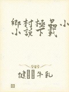 乡村极品小神医小说下载