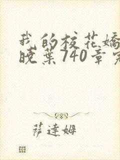 我的校花娇妻秦晓叶740章完整版阅读