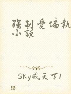 强制爱偏执疯批小说