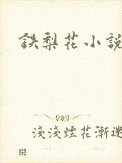 铁梨花小说