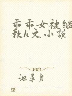 乖乖女被继夫调教h文小说封面