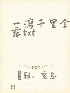一泻千里金银花露txt