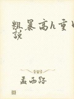 粗暴高h重口小说封面