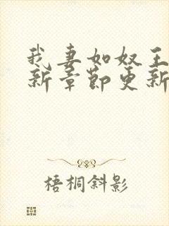 我妻如奴王琳最新章节更新