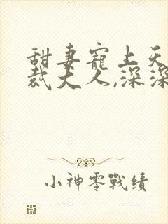 甜妻宠上天:总裁大人,深深爱