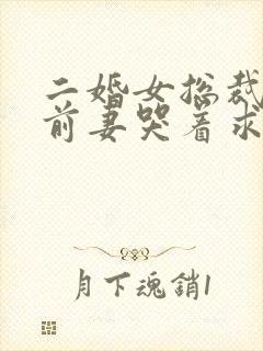 二婚女总裁后,前妻哭着求复婚免费封面
